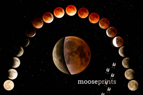 Blood Moon Timelapse.