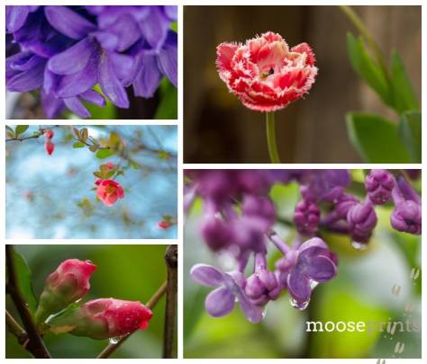 10313999_1491000794463183_3766218419709280831_n