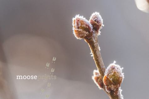 10365788_1491027574460505_7891645515760061236_n