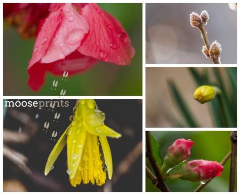 10402690_1491000771129852_4550596801458995871_n-1