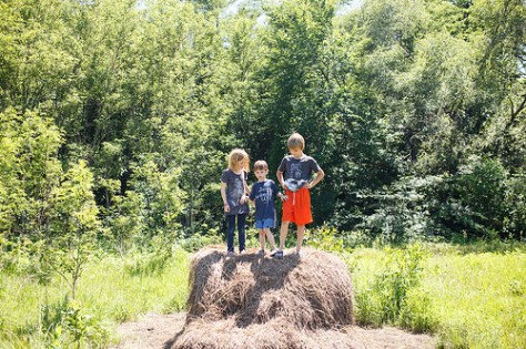 27512345565_03b5a20b13