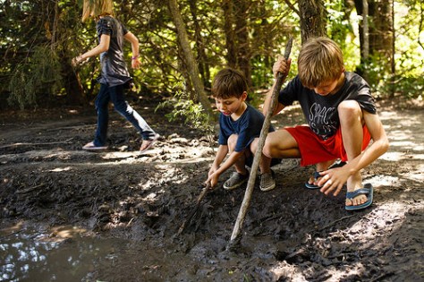 27512357575_a5272c4f8a